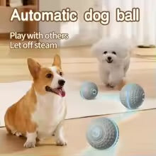 Smart Interactive Dog Ball Toy